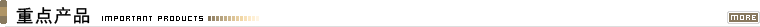 ���I늠tĿ�